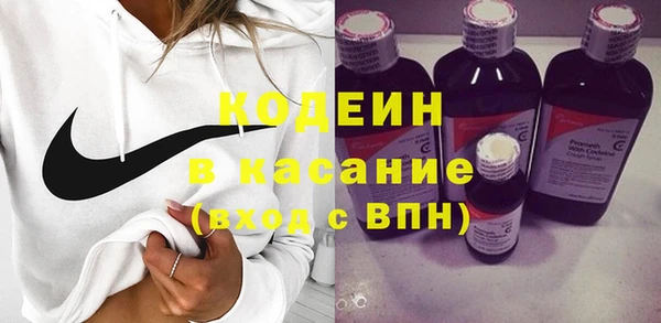 прущие грибы Инсар