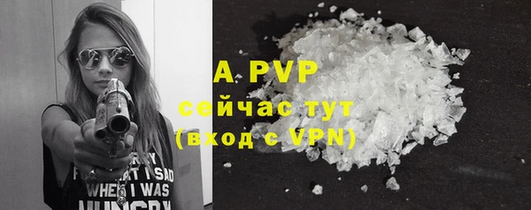 прущие грибы Инсар