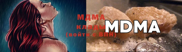 прущие грибы Инсар