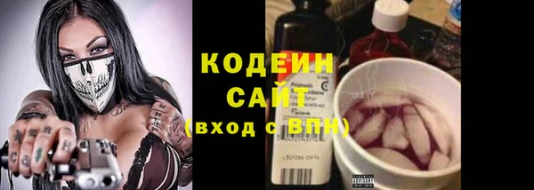 СК Иннополис