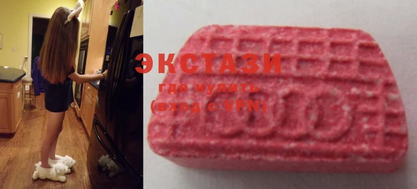 ешки Инта