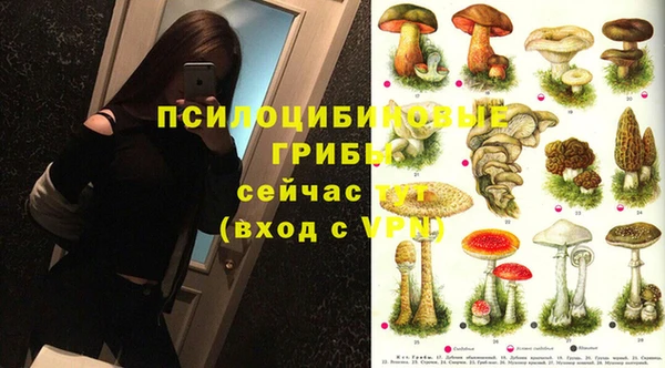 СК Иннополис