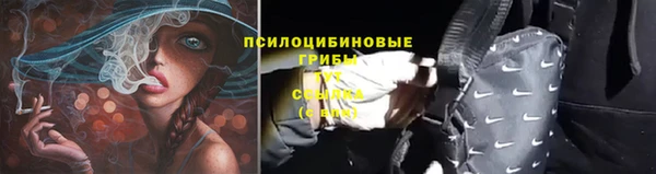 прущие грибы Инсар