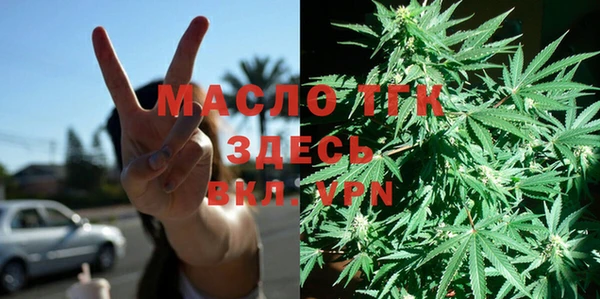прущие грибы Инсар