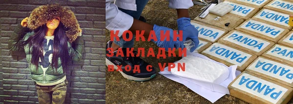 прущие грибы Инсар