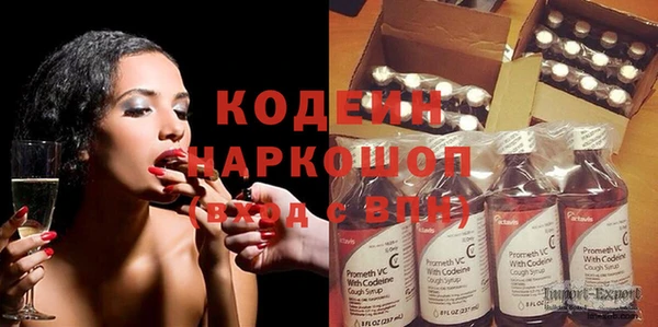 прущие грибы Инсар