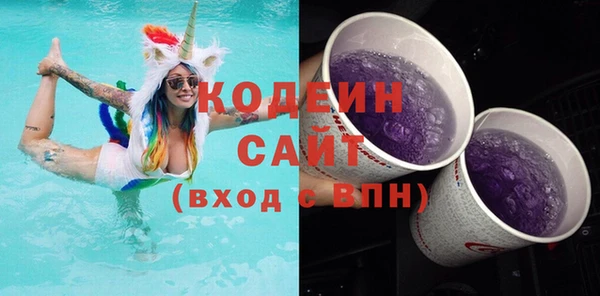 ешки Инта