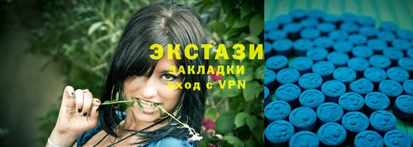 прущие грибы Инсар