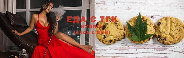 ешки Инта